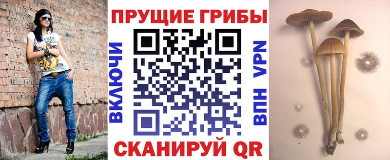 Галлюциногенные грибы MAGIC MUSHROOMS  Купить закладки  Вельск 